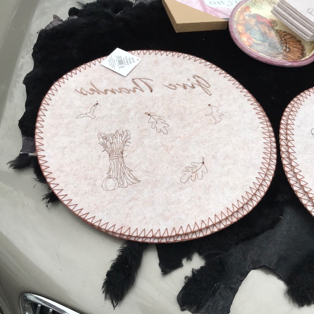 NWT Thanksgiving Setting 4 Placemats 4 Flatware Holders 8 Paper Pie Plates Decor